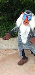 Rafiki Animal Kingdom Disney World