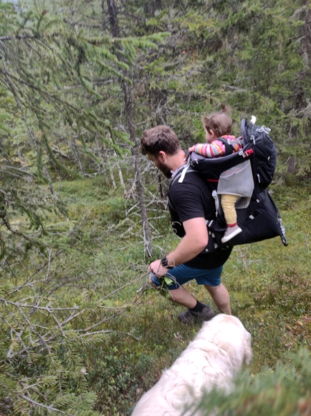 brøgåsen rundt sokna