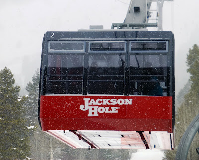 Jackson Hole, WY, January 2018.

The Saratoga Skier and Hiker, first-hand accounts of adventures in the Adirondacks and beyond, and Gore Mountain ski blog.