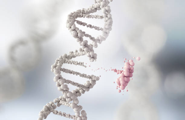 Beyond Mutation: DNA’s Leap into Rapid Gene Generation
