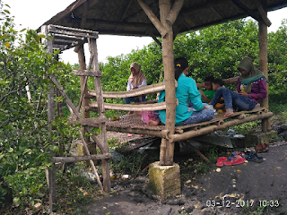 "gubuk indah jeruk nganjuk"