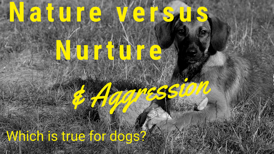 nature versus nurture dogs