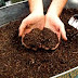 عملية التسميد هي عملية إضافة الأسمدة إلى التربة بهدف زيادة خصوبتها لرفع الإنتاج الزراعي