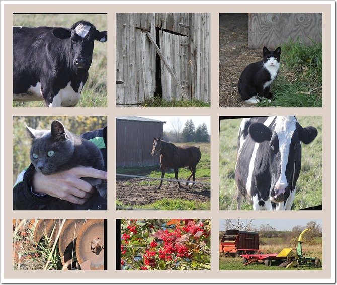 farm mosaic