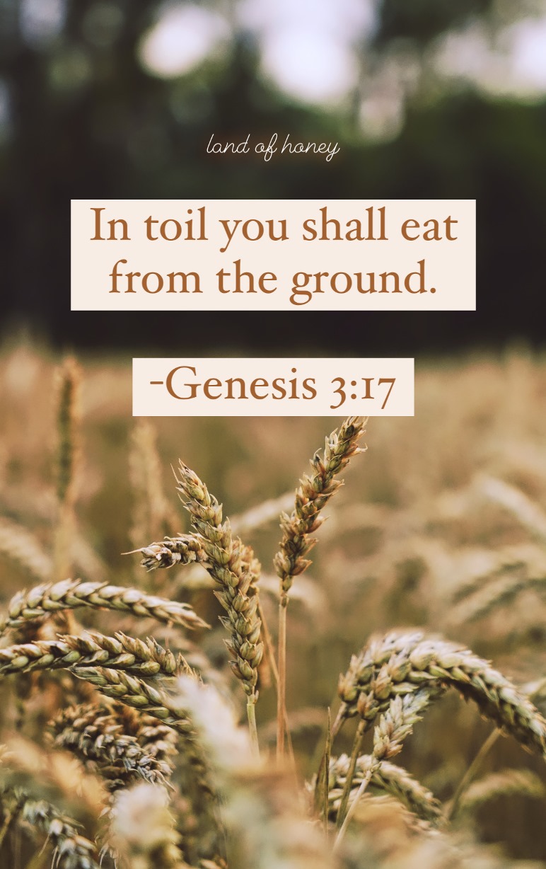 How the Bible Defines Food - Genesis 3:17 Bible verses on eating | Land of Honey