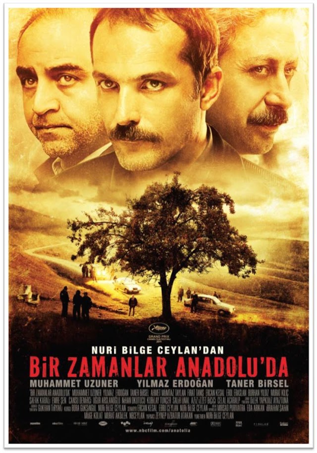 Bir Zamanlar Anadolu'da (2011)