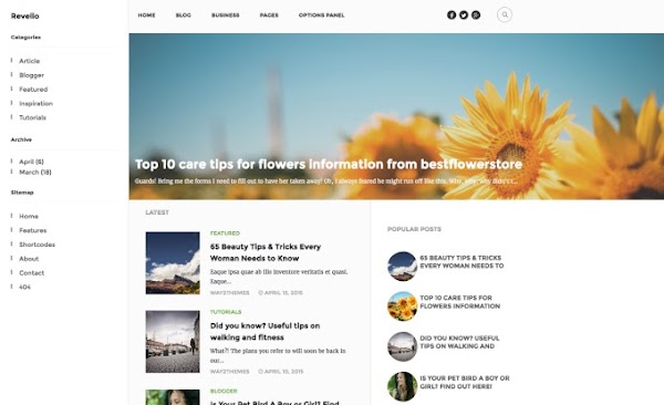 Revelio Arşiv Blogger Teması