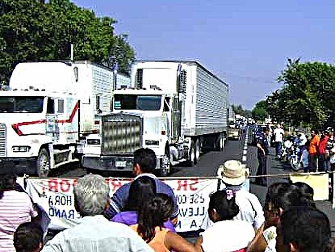 Transportistas de Quéretaro, Veracruz e Hidalgo se unen a paro nacional