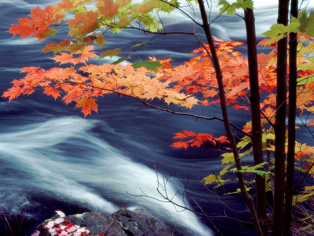 Autumn Wallpaper Background
