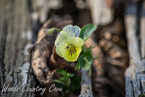 NOVEMBER 2015 (10 of 45)