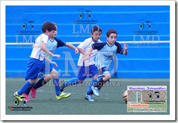 017 Cruz Santa C - Florida Cf Benj 15-16