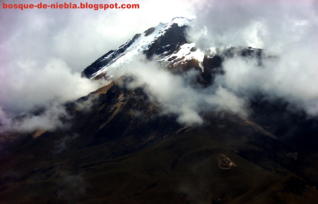 paramillo del quindio, nevado del tolima