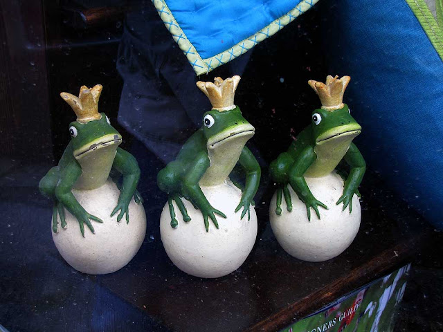 Three frog princes in a shop window, Livorno