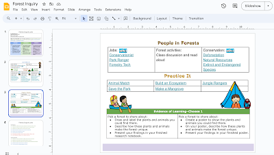 Student learning plan for inquiry-based learning and phenomenon-based learning