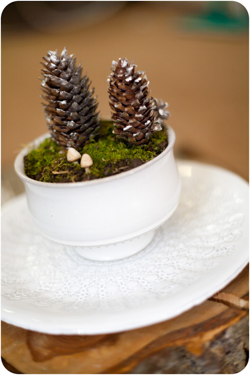 Hot glue them to the base of the pine pine wedding centerpiece
