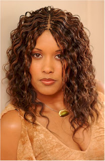 African American Braids Hairstyle Ideas for 2011