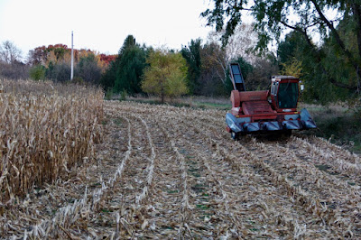 our county has many small farms, mostly row crop