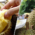 Lelaki meninggal dunia kerana makan terlalu banyak buah durian