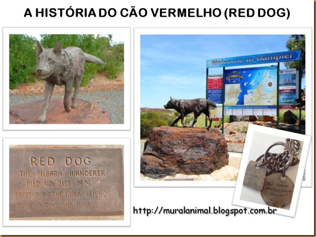 reddog (2)