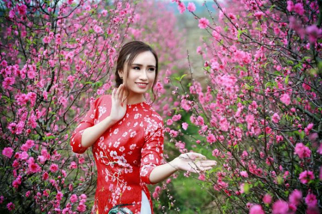 Ngo Thu with Cherry Blossom