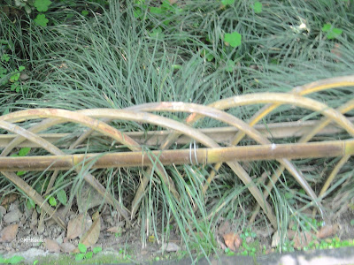 bamboo edging in garden