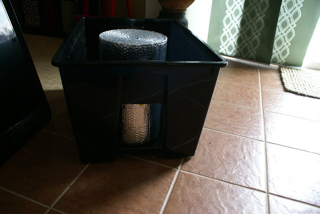 Cat Box for the Strays