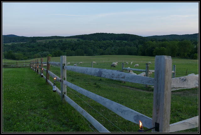 Dinner on the Farm - Dancing Ewe Farm in Granville NY