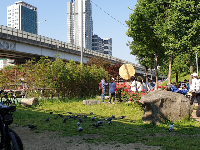 보름달 포토존 밑 비둘기 모임