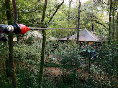 Tallahassee Museum Tree-to-Tree Adventure Zipline