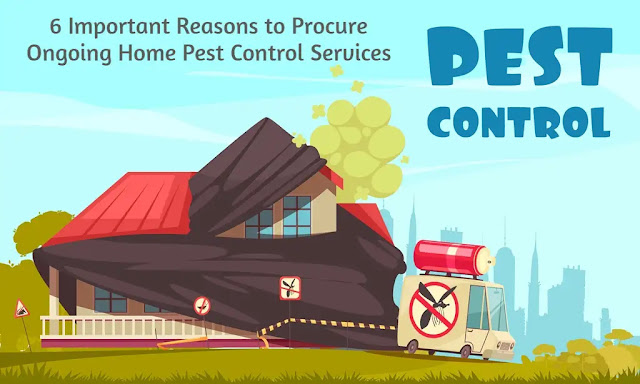 Procure Ongoing Home Pest Control Services