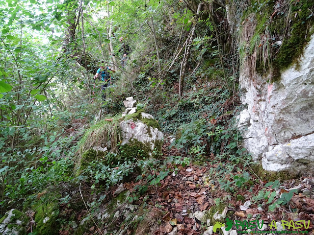 Canal de Reñinuevo: jito y marca en el bosque