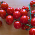 https://theonlywayproductions.blogspot.co.uk/2017/01/tomatoes-scientificall-proven-to-be.html