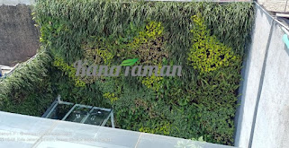 Jasa Vertical Garden Bekasi - Kami penyedia jasa pembuatan taman vertical garden atau taman dinding di Area Bekasi dan sekitarnya