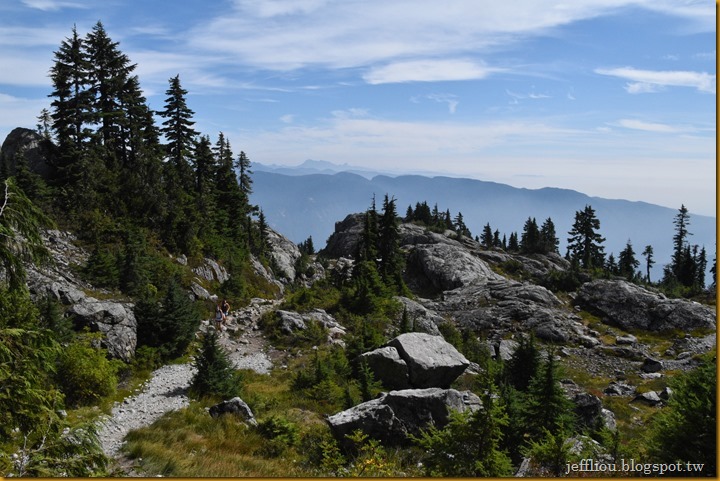 DSC_0617-2