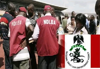 NDLEA Shortlisting, NDLEA screening and interview, NDLEA shortlisted candidates, NDLEA Superintendent Cadre, NDLEA Narcotic Agent Cadre, NDLEA Narcotic Assistant Cadre