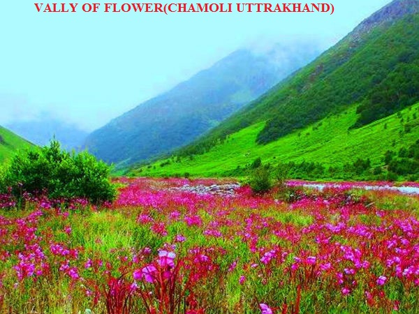 VALLEY OF FLOWER- HEMKUND SAHIB-GURUDWARA SHRI HEMKUND SAHIB -HEMKUND SAHIB YATRA