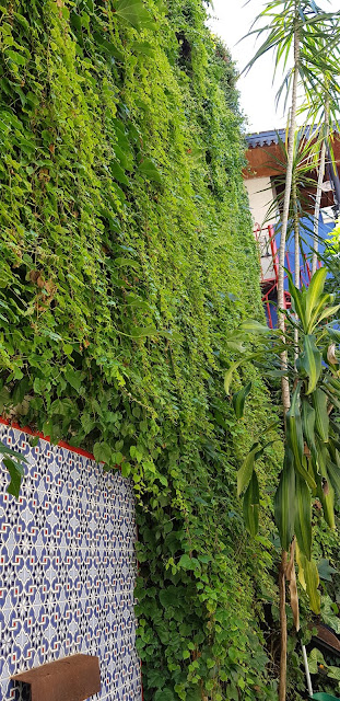 vertical garden with real plants