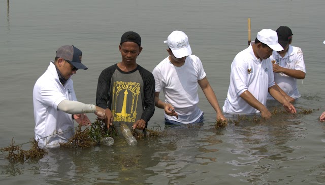 Dukung petani rumput laut, KBI Bantu Permodalan dan Pendampingan