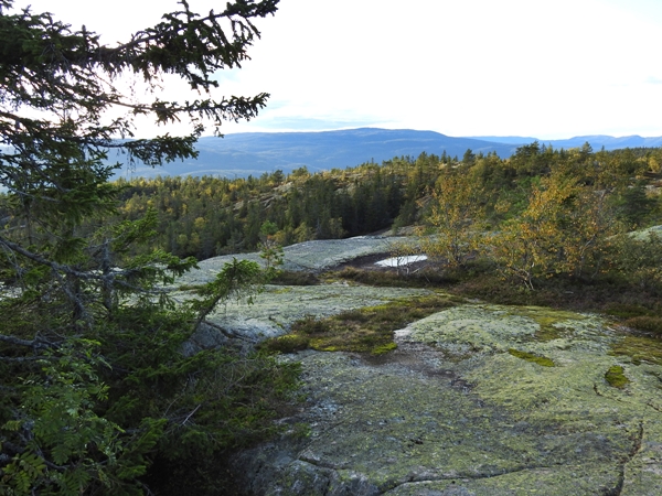 Fjøsvikfjellet somdalskollen kongsgardskollen varden fjellsetera