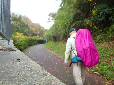 √ダウンロード 青葉山ろく公園 キャンプ ブログ 633341