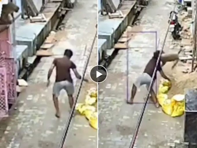 माकडाला दगड मारायला गेला आणि माकडानेच त्याला....