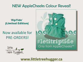 http://www.littletreehugger.ca/AppleCheeks_2_sized_Envelope_Cover_snaps_p/acec-s.htm