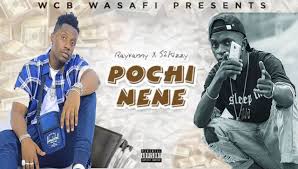 AUDIO | RAYVANNY X S2KIZZY - POCHI NENE | DOWNLOAD