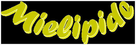 MIELIPIDE-logo.