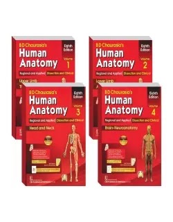 Download BD Chaurasia Human Anatomy Set 8th Edition PDF