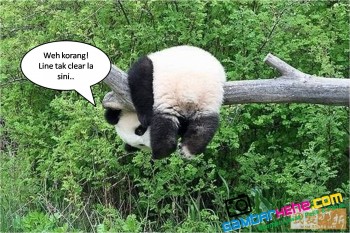 8 GAMBAR  LAWAK PANDA  COMEL  SUKA SKODENG CERITA POPULAR