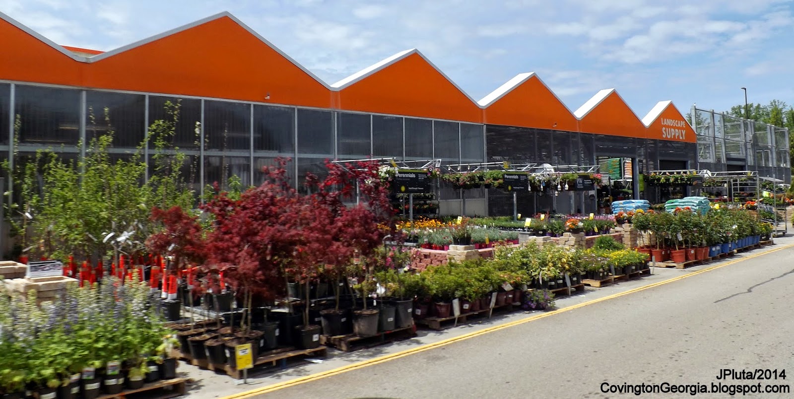 Home Depot Garden Landscape – thorplc.com