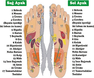 Libri ad Irni: Pijat Refleksi pada kaki