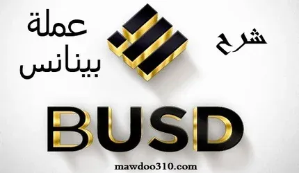 عملة busd