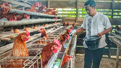 Upaya Peternak Aceh Singkil Cegah Flu Burung